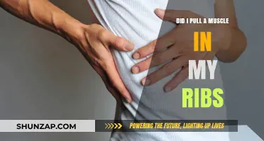 Did I Pull a Rib Muscle? Symptoms, Causes, and Recovery Tips