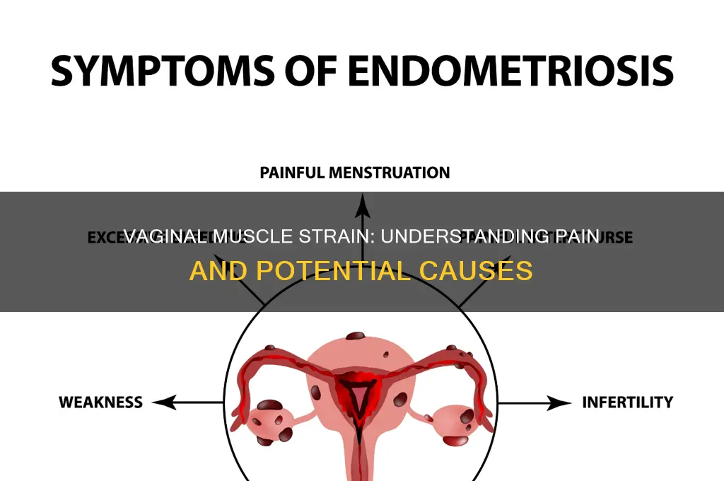 did i pull a muscle in my vagina