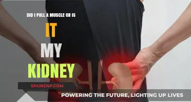 Muscle Strain or Kidney Pain: How to Tell the Difference