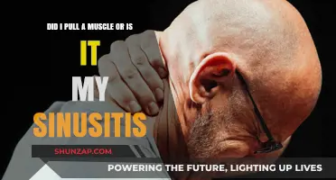 Muscle Strain or Sinusitis: Decoding Your Pain and Symptoms
