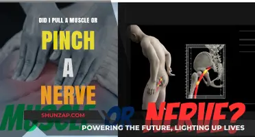Pulled Muscle or Pinched Nerve: How to Tell the Difference