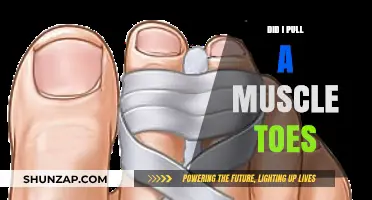 Did I Pull a Muscle in My Toes? Causes, Symptoms, and Relief Tips