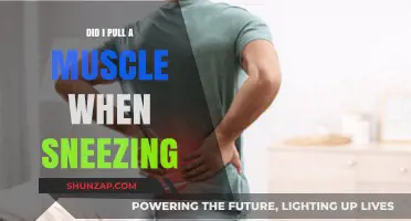 Sneezing and Muscle Pain: Understanding the Surprising Connection