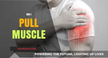 Did I Pull a Muscle? Symptoms, Causes, and Quick Recovery Tips