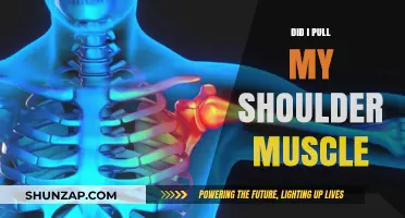 Did I Pull My Shoulder Muscle? Symptoms, Causes, and Recovery Tips