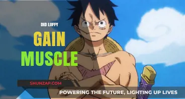 Luffy's Transformation: Did the Straw Hat Captain Gain Muscle?
