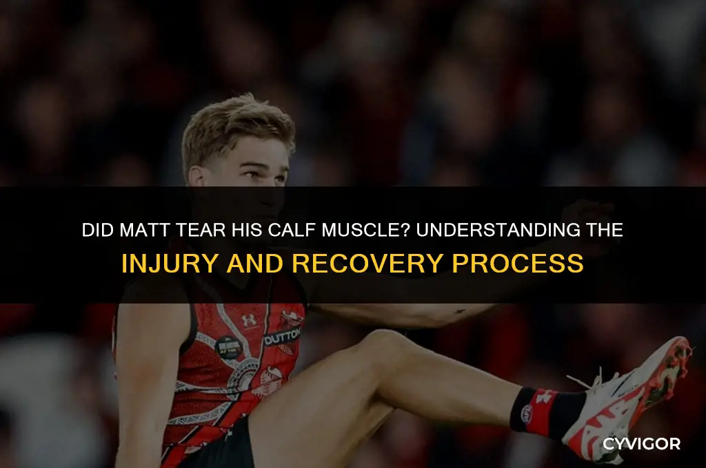 did matt tear his calf muscle