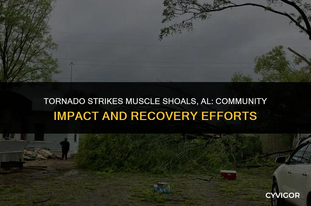 did muscle shoals al get hit by the tornado