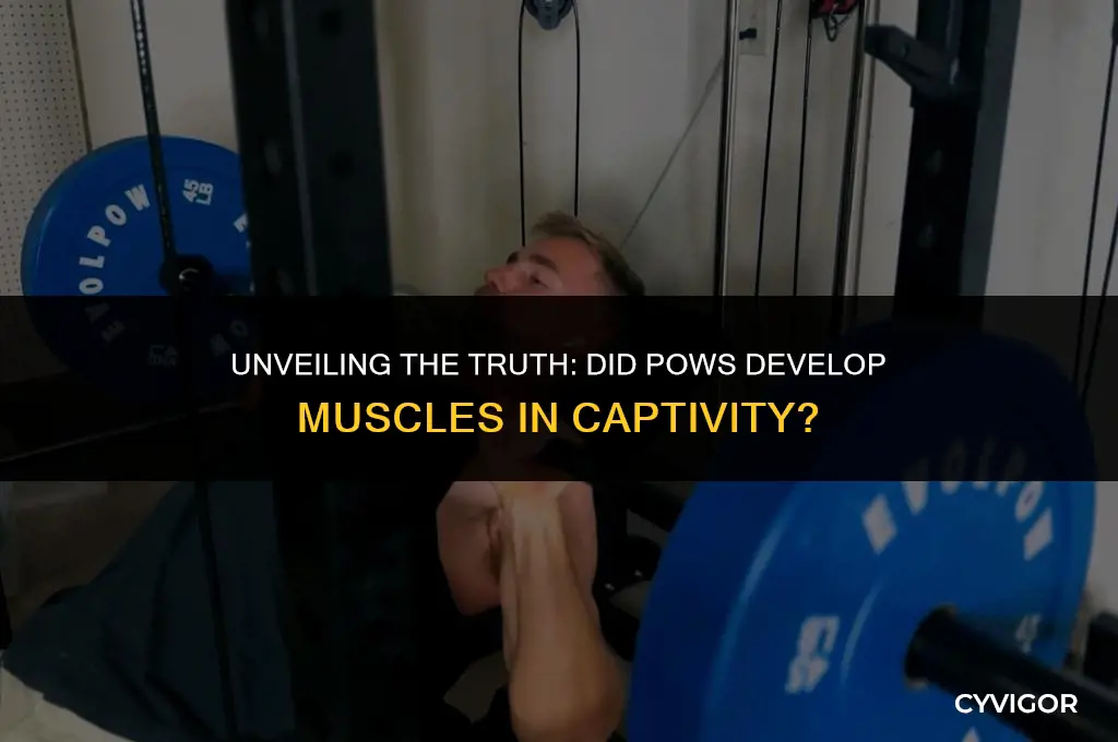 did pows get muscles