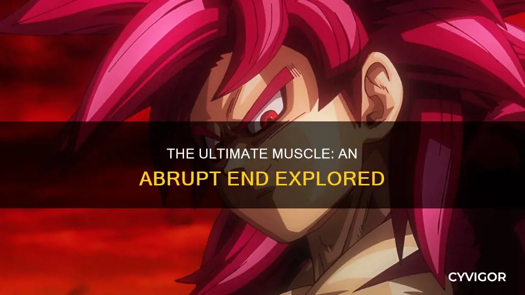 did ultimate muscle end