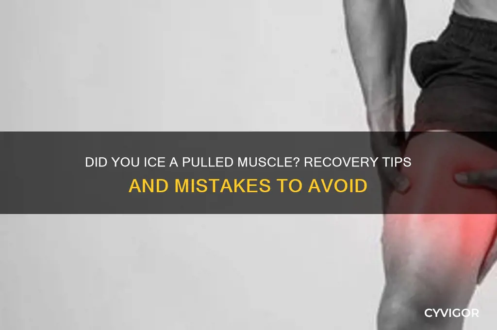 didn ice a pulled muscle