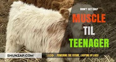 Late Bloomer Calves: My Teenage Muscle Awakening Story