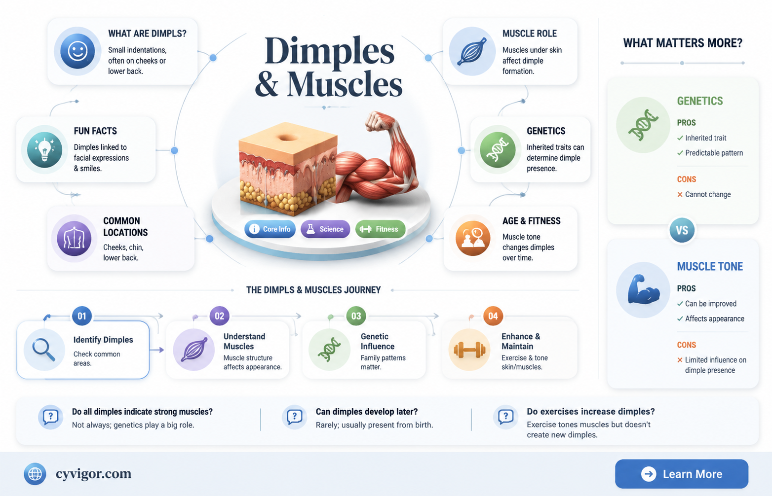 are dimples missing muscles