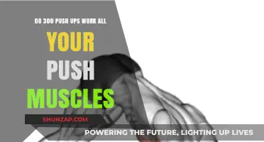 Push-Up Power: Targeting All Pushing Muscles with 300 Reps?