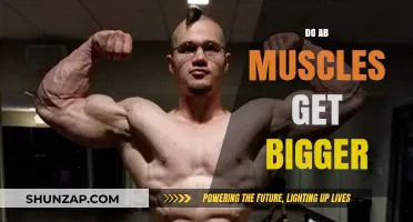 Unveiling the Truth: Do Ab Muscles Really Get Bigger?