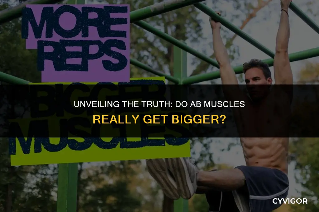 do ab muscles get bigger