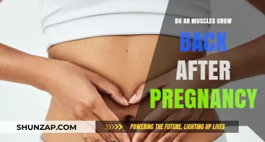 Reviving Your Core: Can Ab Muscles Bounce Back Post-Pregnancy?