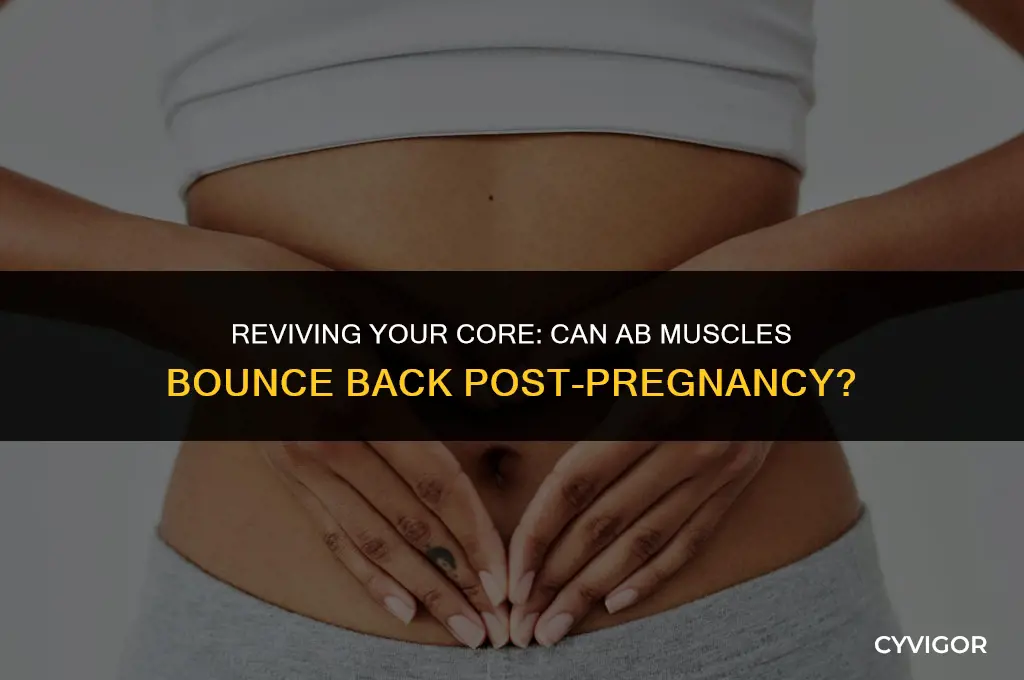 do ab muscles grow back after pregnancy