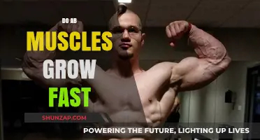 How Fast Do Ab Muscles Grow? Unlocking Core Growth Secrets