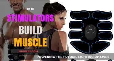 Can AB Stimulators Really Build Muscle? The Truth Revealed