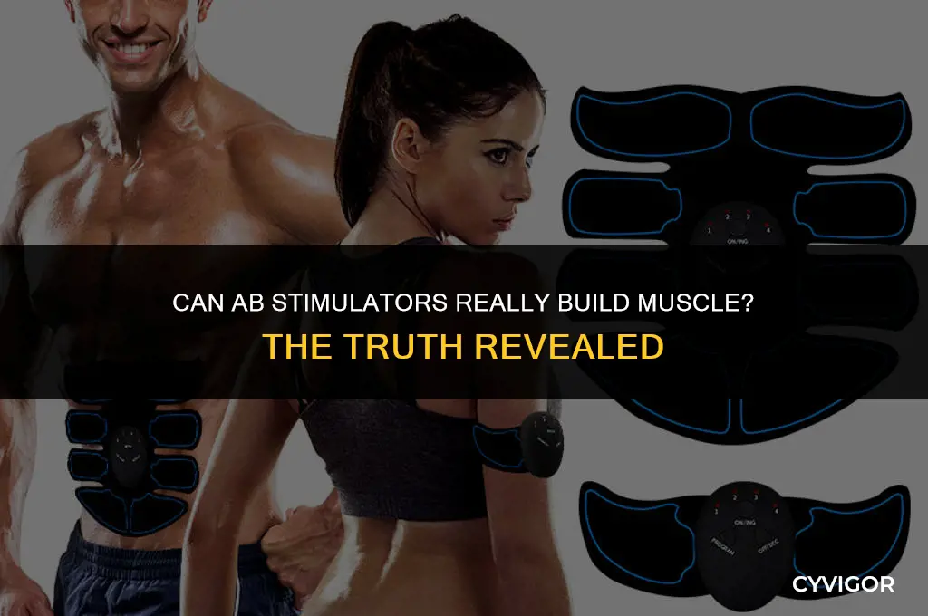 do ab stimulators build muscle