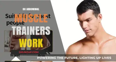 Do Abdominal Muscle Trainers Deliver Results? A Comprehensive Review