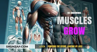 Do Abdominal Muscles Grow? Unlocking Core Strength and Development Secrets