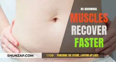 Abdominal Muscle Recovery: A Faster Way to Heal