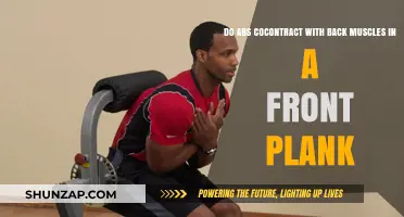Engaging Your Core: The Connection Between Abs and Back in Planks