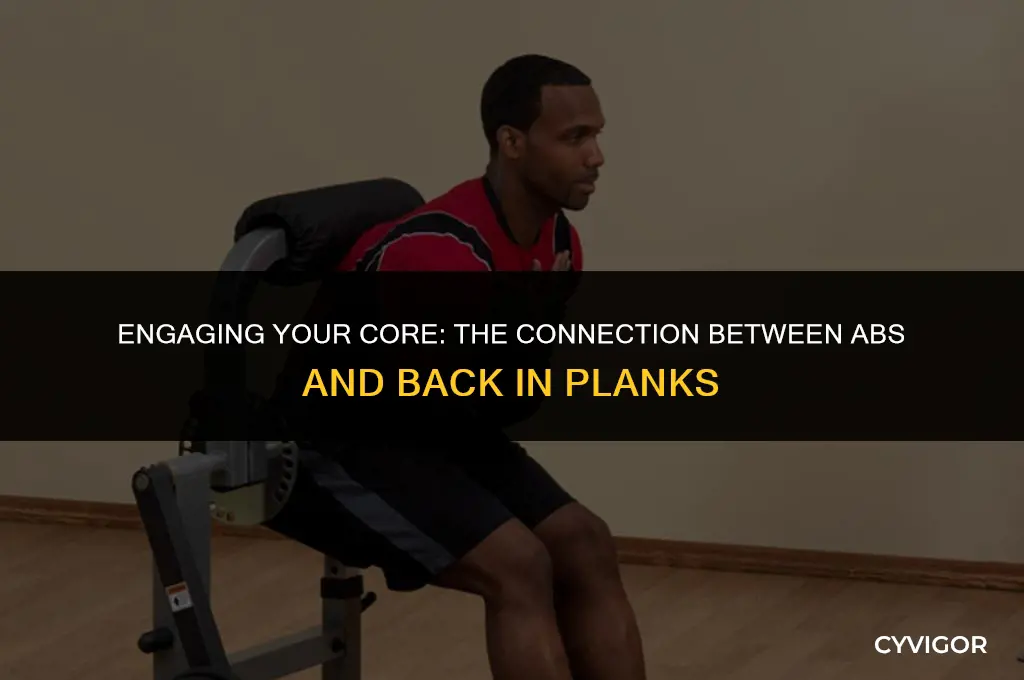 do abs cocontract with back muscles in a front plank