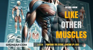Do Abs Grow Like Other Muscles? Unraveling the Core Truth