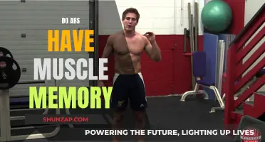 Unlocking the Mystery of Abs and Muscle Memory