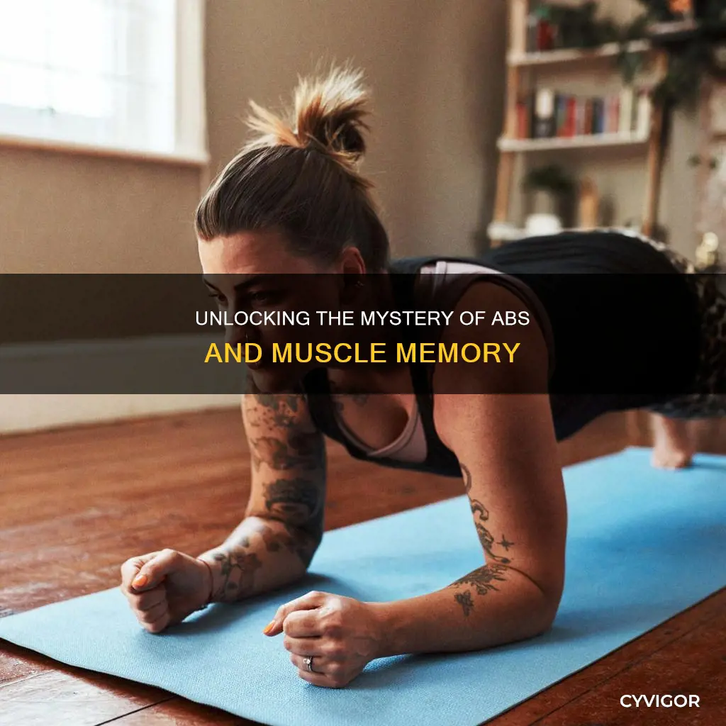 do abs have muscle memory