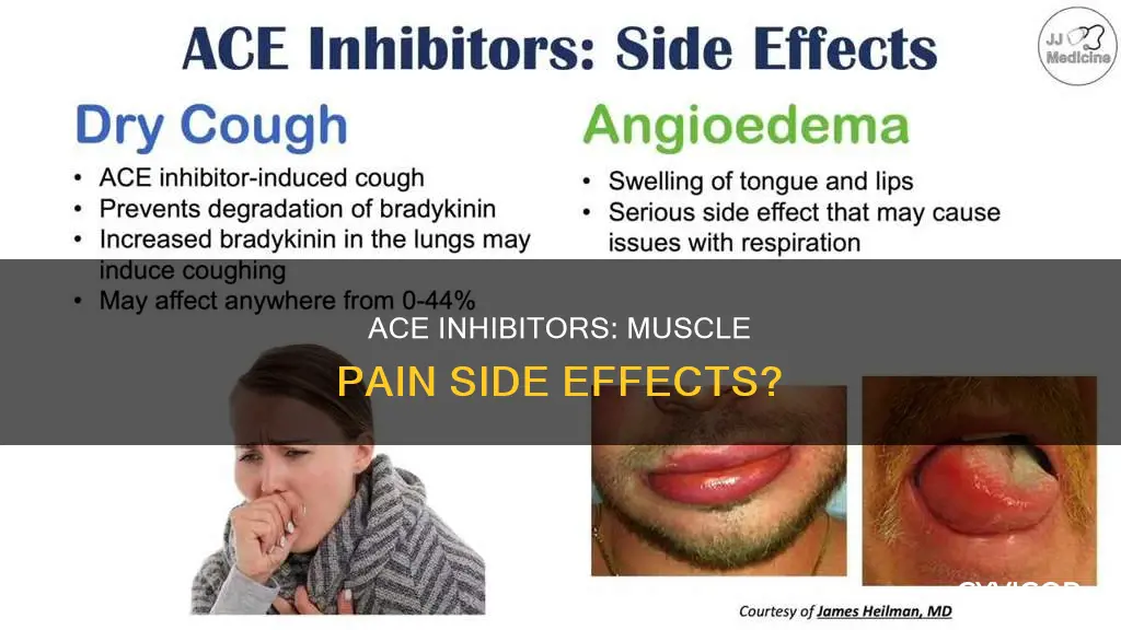 do ace inhibitors cause muscle pain
