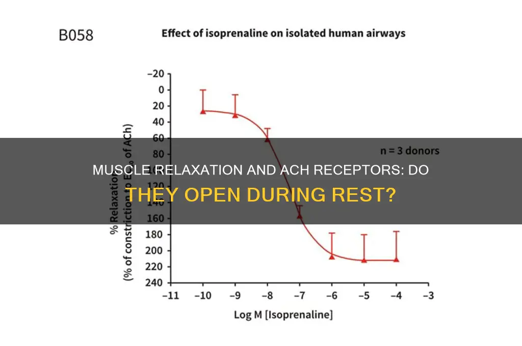 do ach receptors open when muscle relaxes