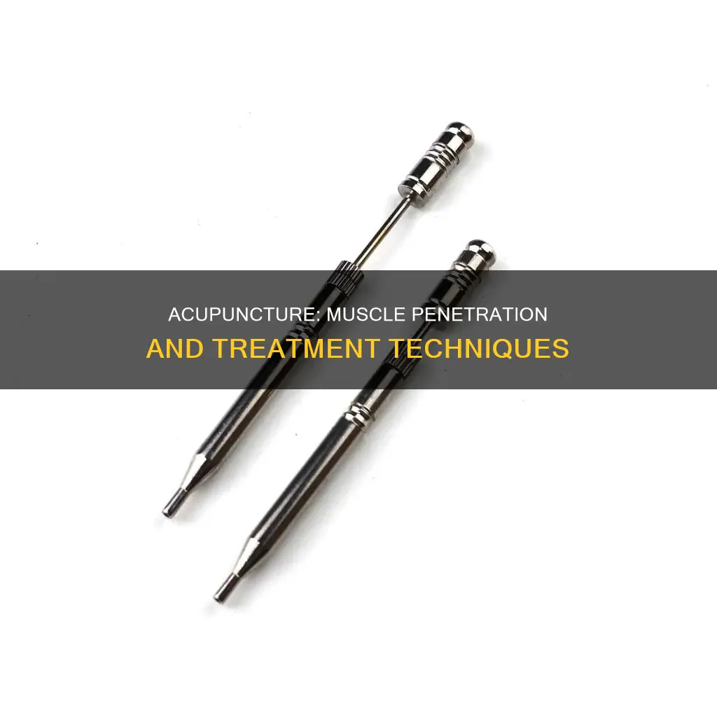 do acupuncturists penetrate muscle