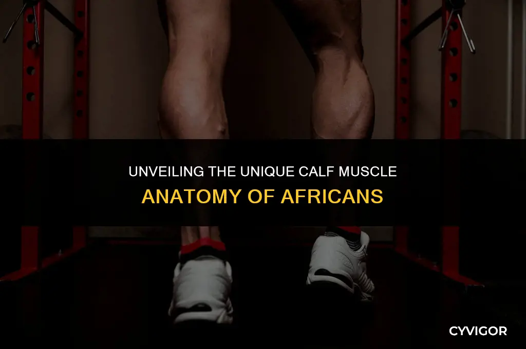 do africans have an extra calf muscle