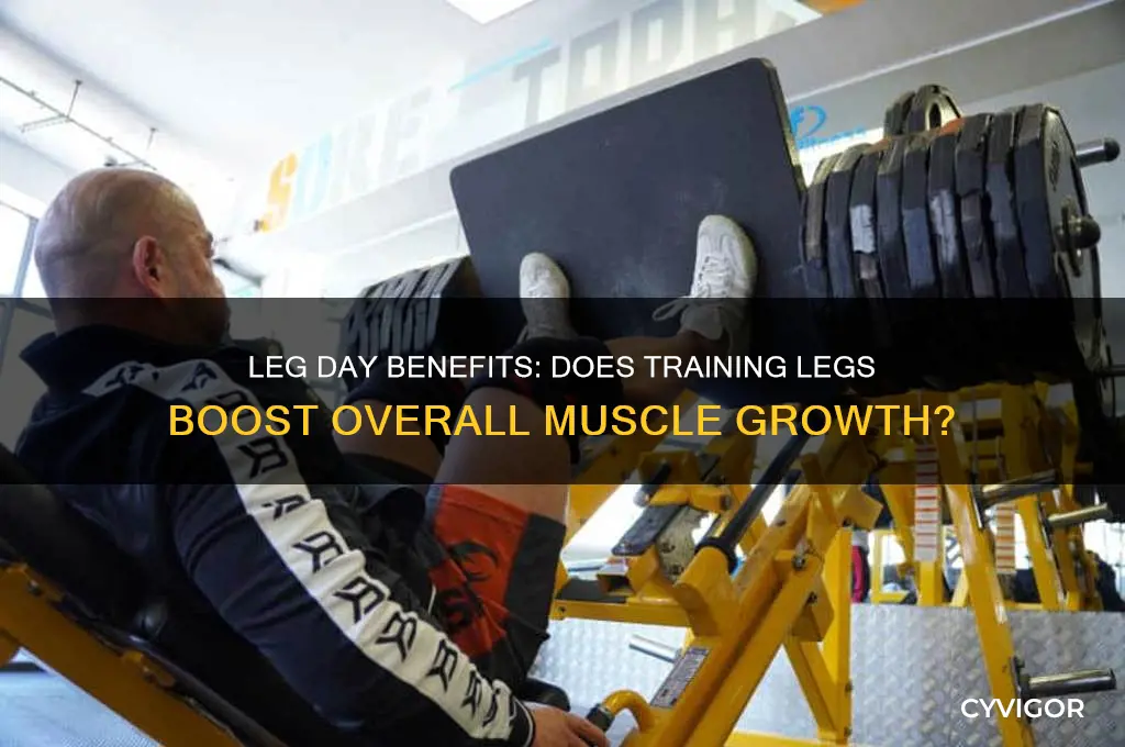 do all muscles grow if you start working iut legs