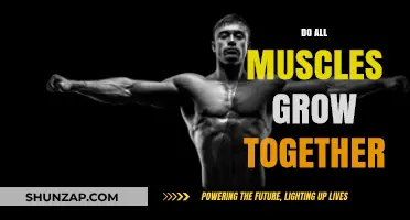 Do All Muscles Grow Together? Unraveling the Myth of Uniform Growth