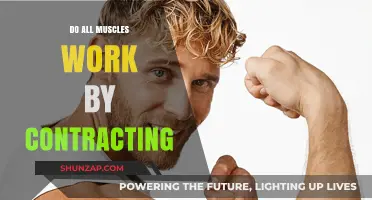 Do All Muscles Contract? Unraveling the Mechanics of Muscle Function