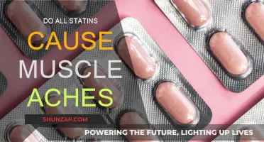 Statins and Muscle Aches: What's the Real Deal?