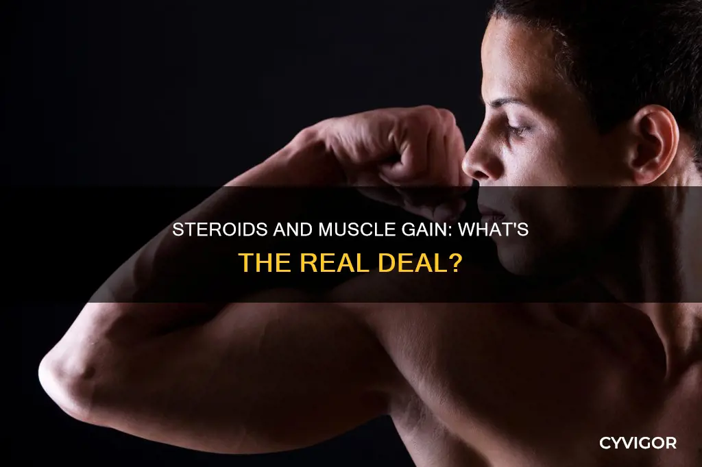 do all steroids cause muscle gain