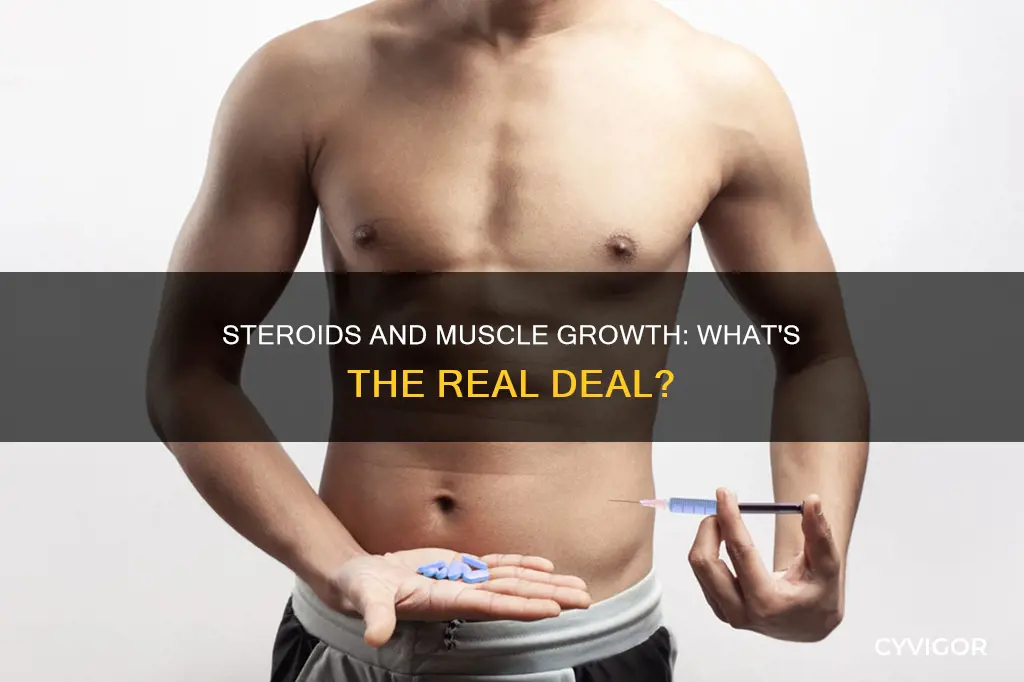 do all steroids cause muscle growth