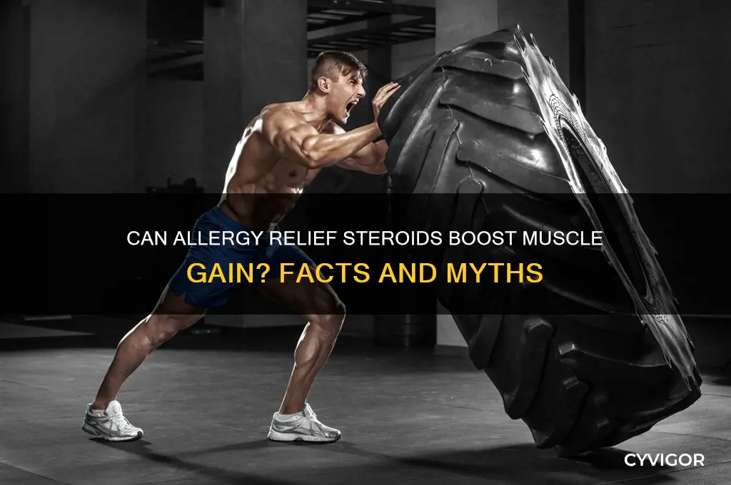 do allergy relief steriods help with muscle gain