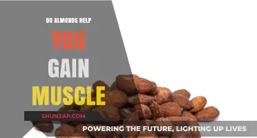 Almonds and Muscle Growth: A Nutritious Boost for Strength Training?