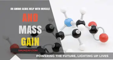 Amino Acids and Muscle Gain: Unlocking Mass Building Potential