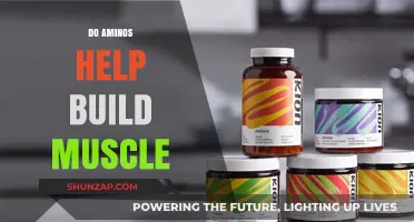 Unlocking Muscle Growth: The Amino Acid Advantage