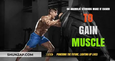 Anabolic Steroids and Muscle Gain: Easier or Riskier?