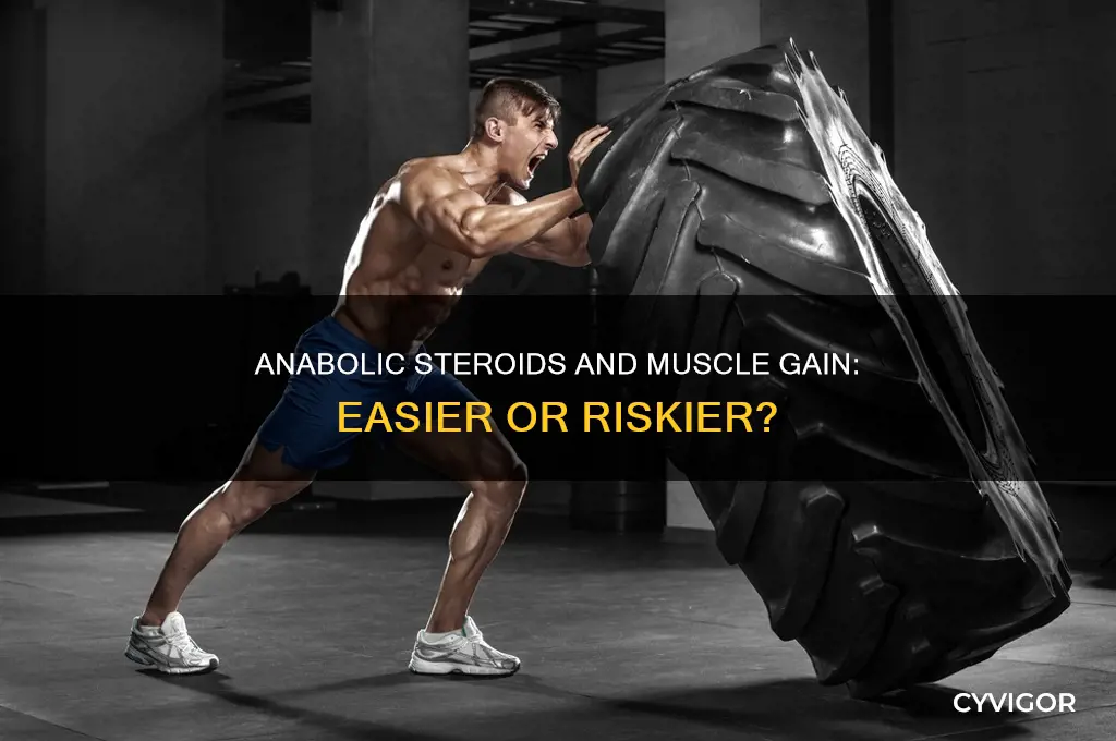 do anabolic steroids make it easier to gain muscle