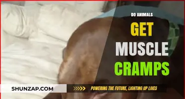 Do Animals Get Muscle Cramps? Exploring the Science Behind It